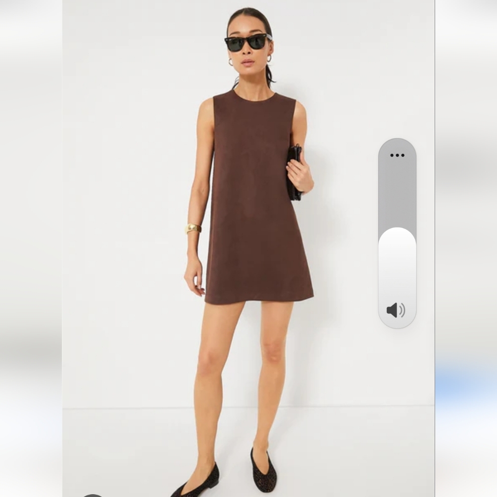 Hyacinth House Faux Suade Billie Brown Sleeveless Mini Dress In X L